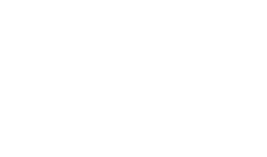 Welson Logo
